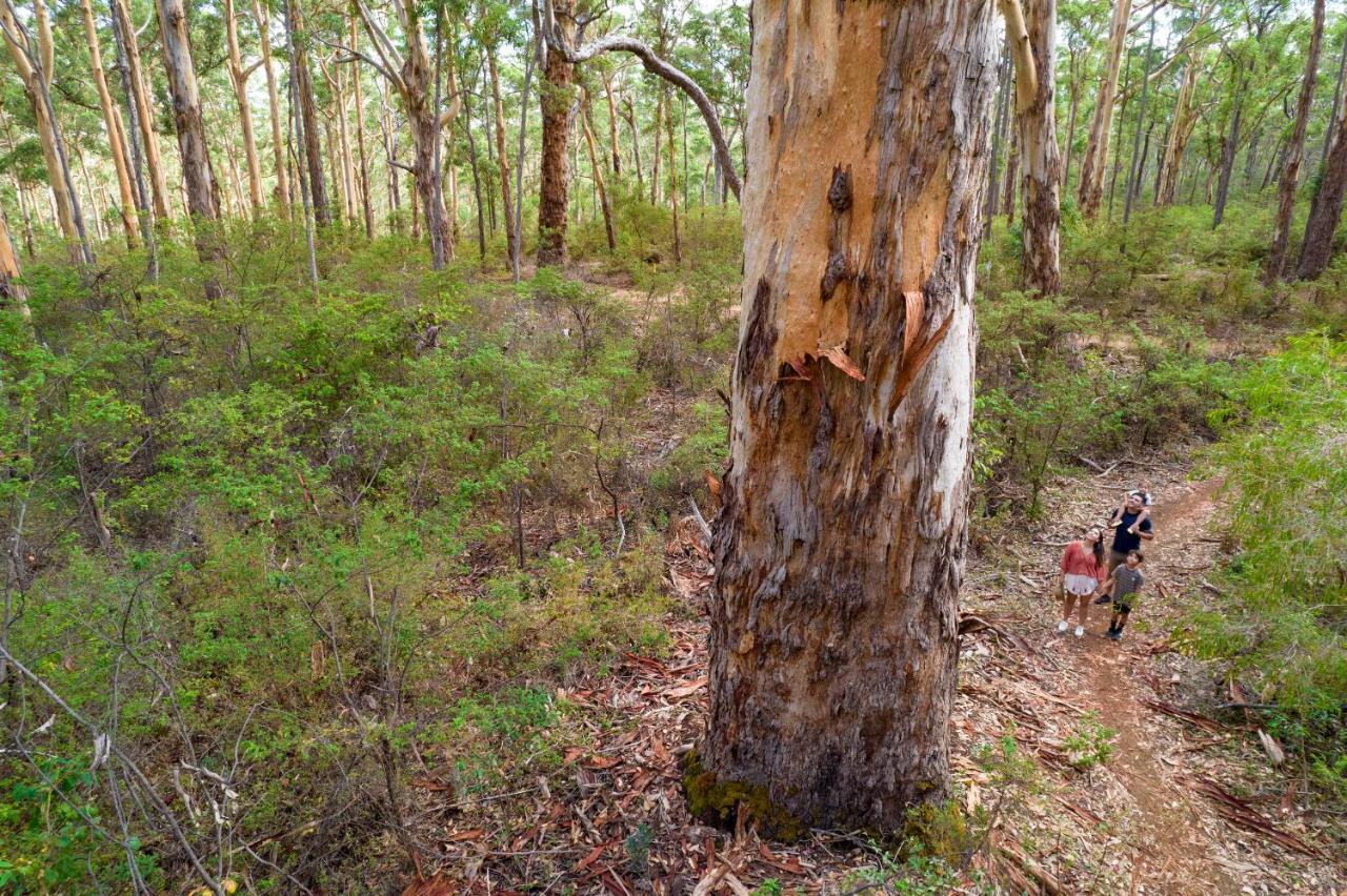 RAC Margaret River Nature Park Exteriör bild